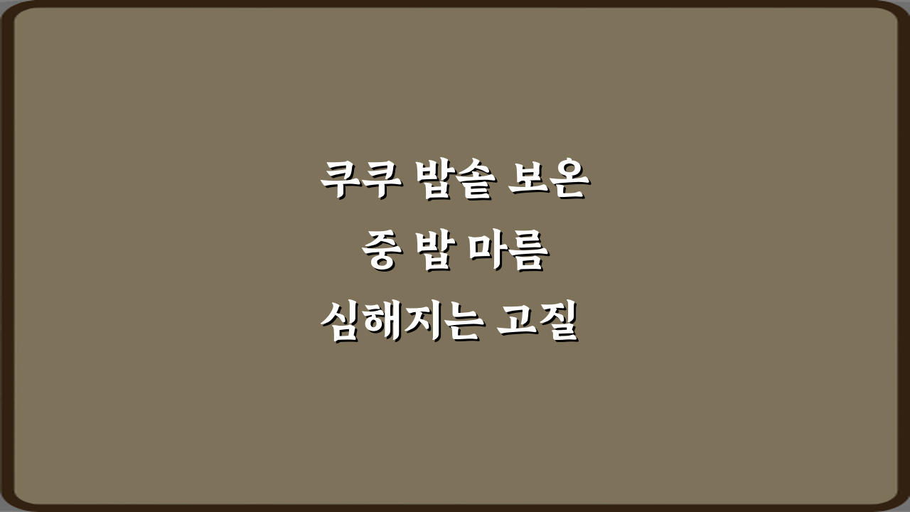 쿠쿠 밥솥 보온 중 밥 마름 심해지는 고질 문제, 3가지 특급 비법!